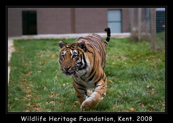 IMG_7059 EOS-1D Mark III copy