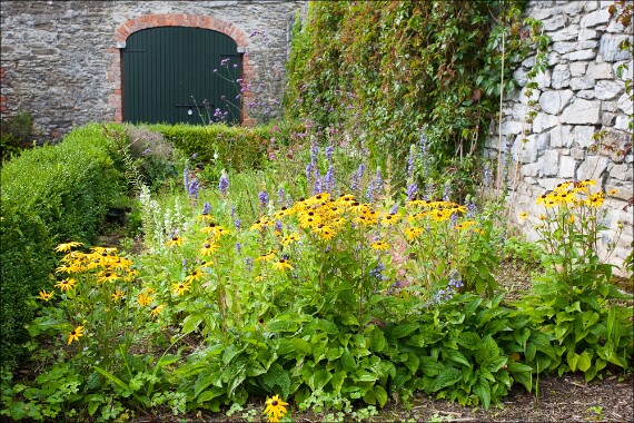 IMG_1809 5D copy