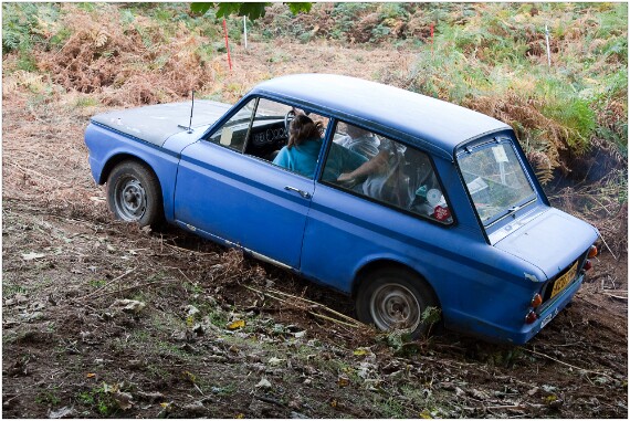 IMG_4398 EOS-1D Mark III copy